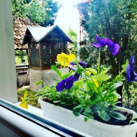 Maslina Rooms سميديريفو المظهر الخارجي الصورة