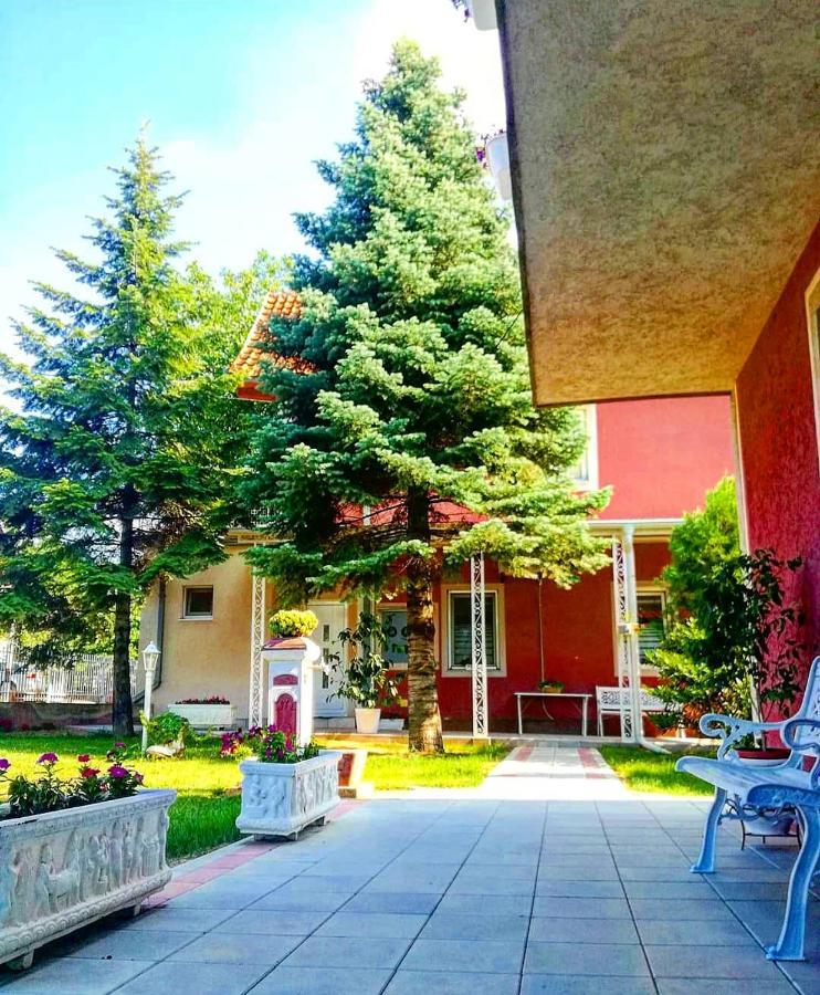 Maslina Rooms سميديريفو المظهر الخارجي الصورة