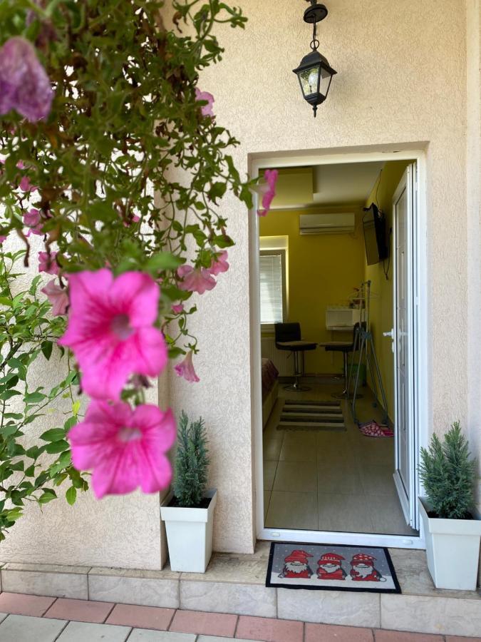 Maslina Rooms سميديريفو المظهر الخارجي الصورة