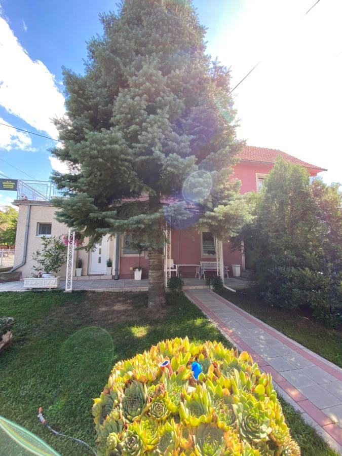 Maslina Rooms سميديريفو المظهر الخارجي الصورة