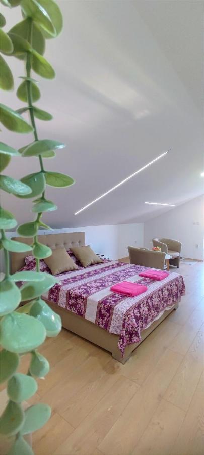 Maslina Rooms سميديريفو المظهر الخارجي الصورة