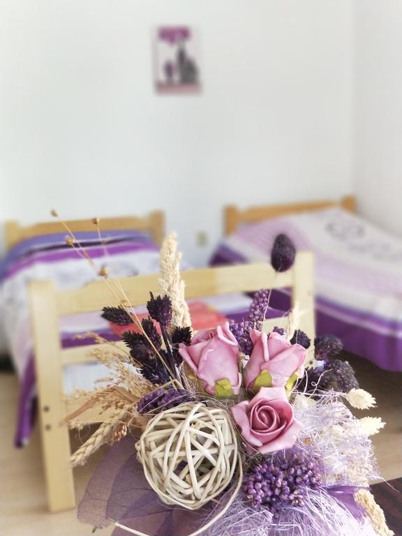 Maslina Rooms سميديريفو المظهر الخارجي الصورة