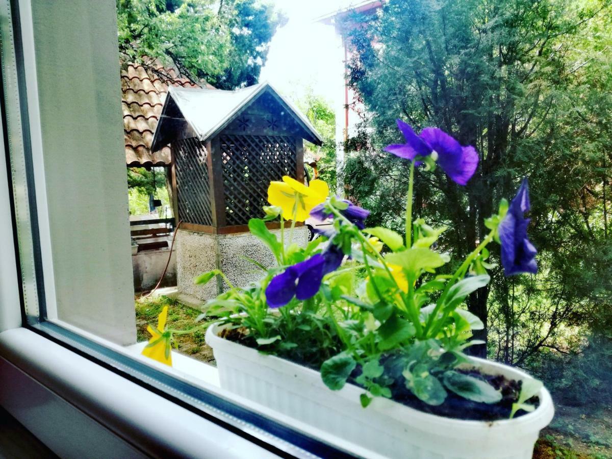 Maslina Rooms سميديريفو المظهر الخارجي الصورة